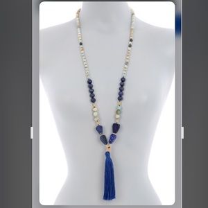 ADORNIA Amazonite BlueLapis Beaded Tassel Necklace